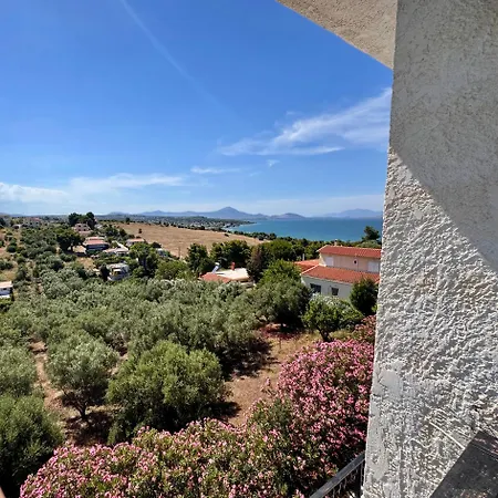 Zeba 200m From The Sea Apartamento *