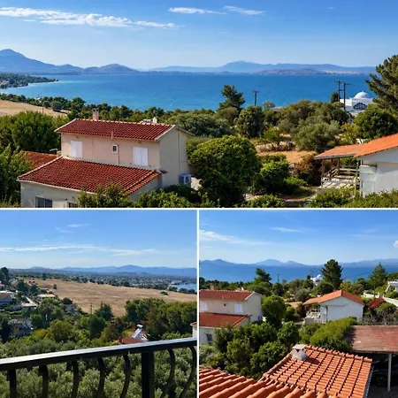 Zeba 200m From The Sea *